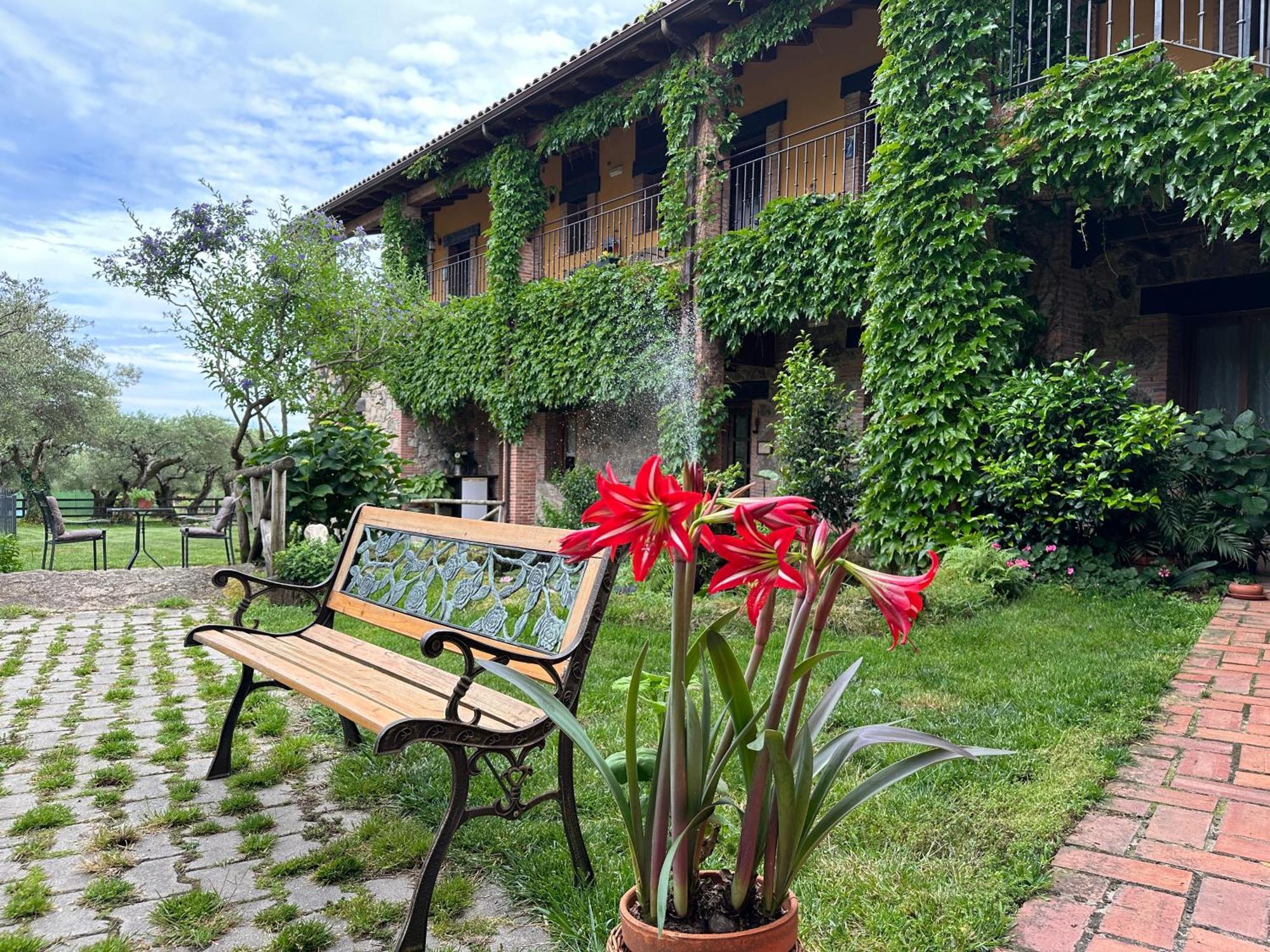 Hotel Rural La Covacha 로사르 드 라 베라 외부 사진